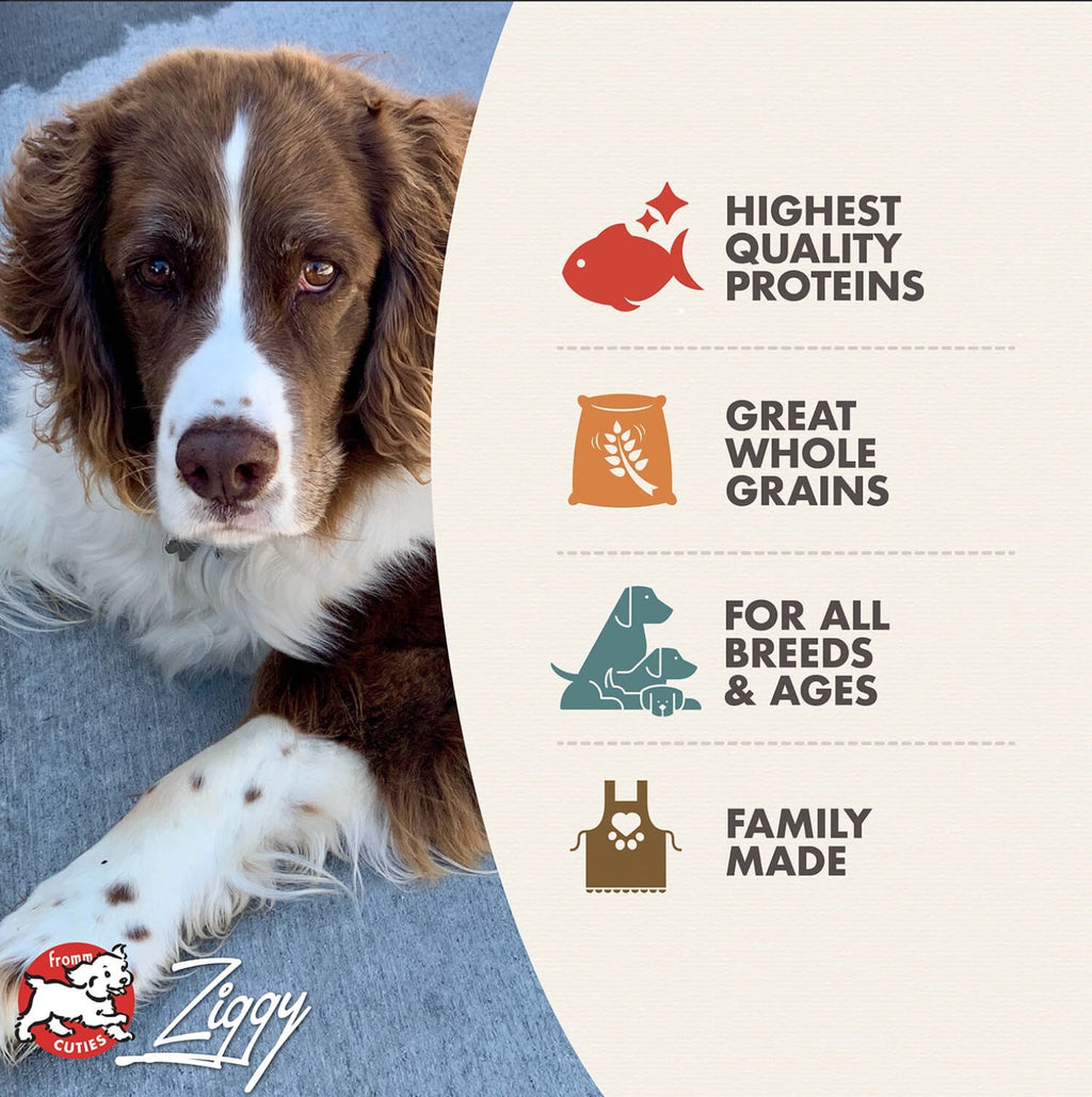 Fromm Four-Star Trout and Whitefish Dry Dog Food