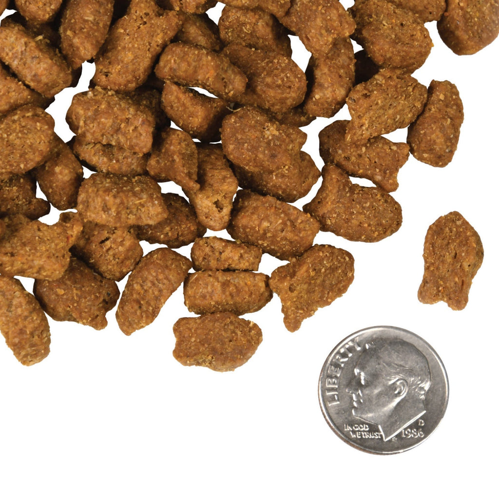 Fromm Four-Star Trout and Whitefish Dry Dog Food