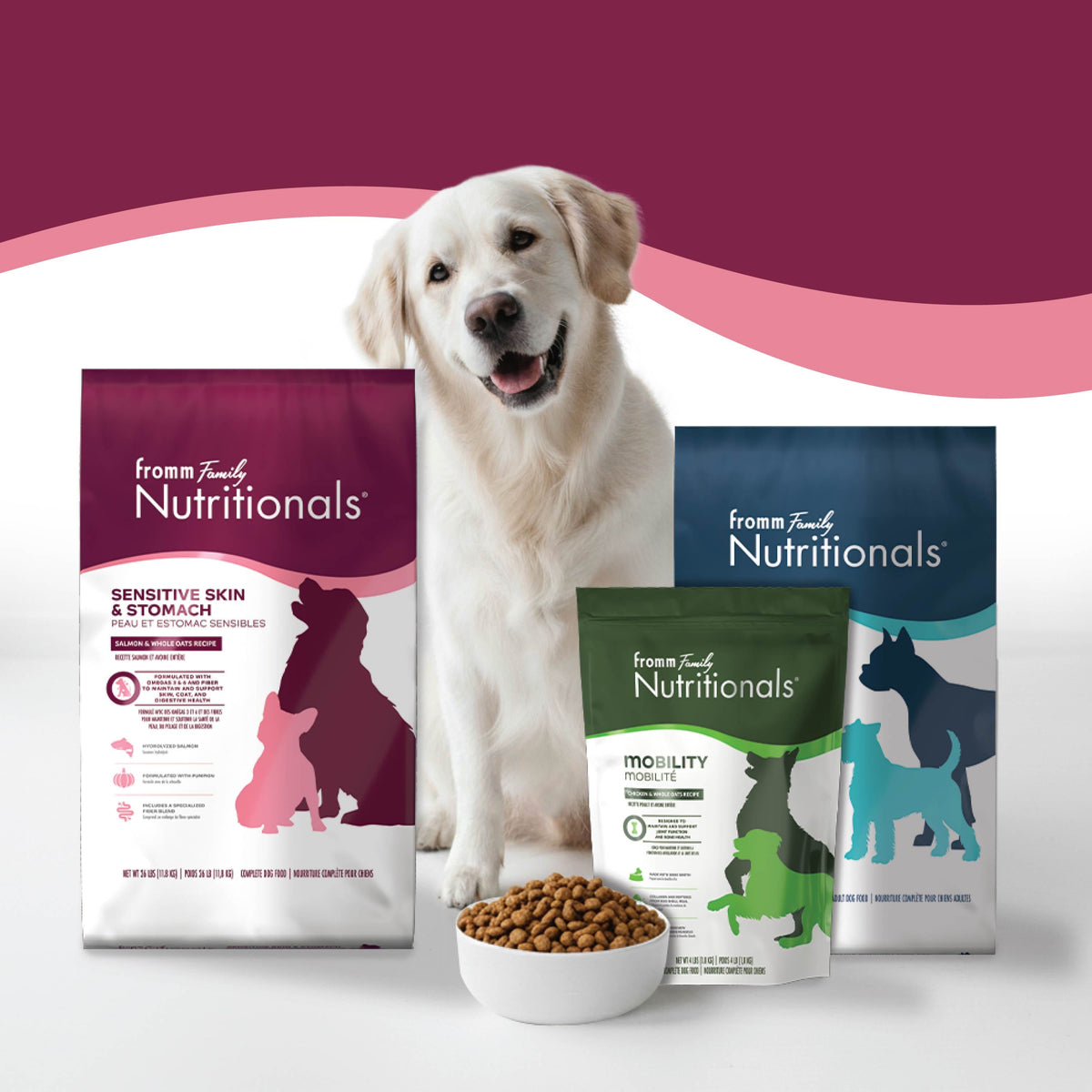 Fromm Nutritionals Sensitive Skin & Stomach Salmon & Whole Oats Recipe Dry Dog Food