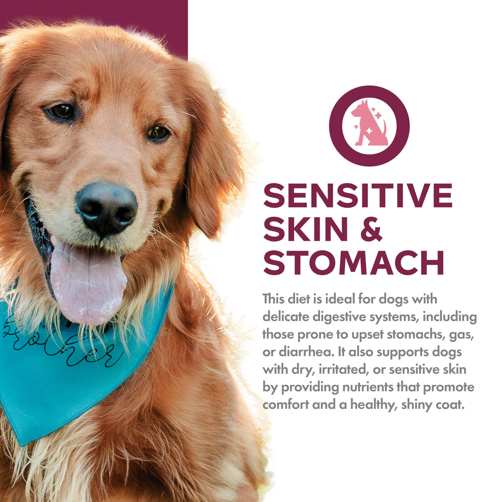 Fromm Nutritionals Sensitive Skin & Stomach Salmon & Whole Oats Recipe Dry Dog Food