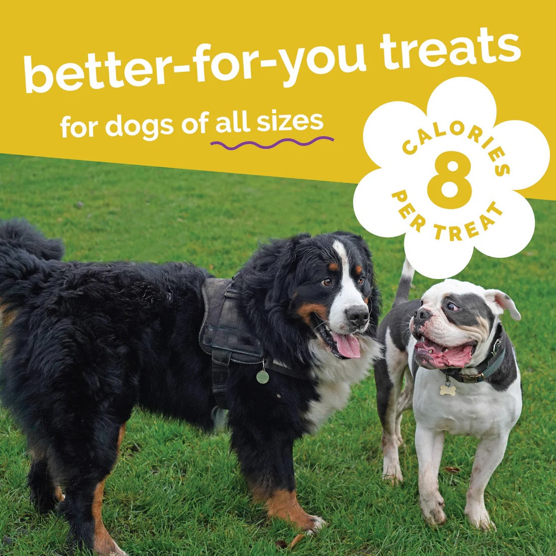 Fruitables Baked Dog Treats Pumpkin & Banana