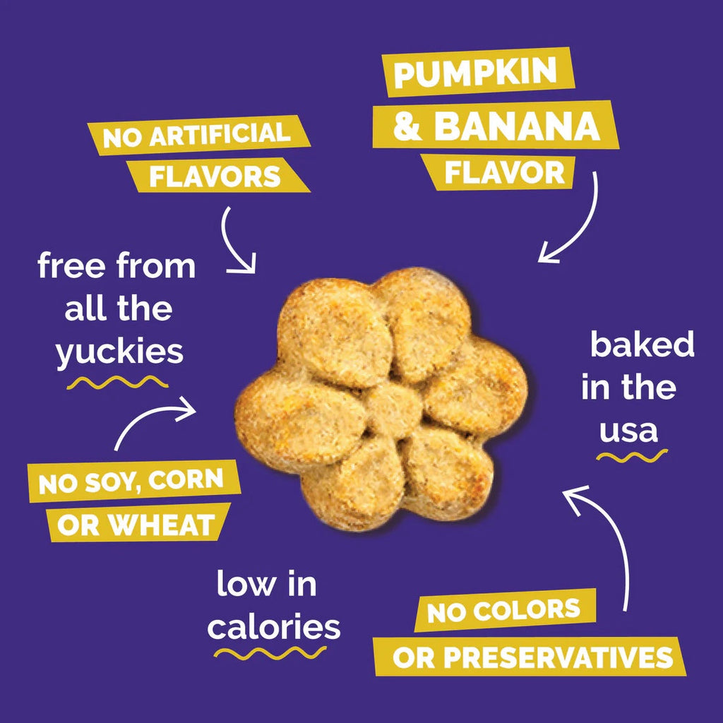Fruitables Baked Dog Treats Pumpkin & Banana