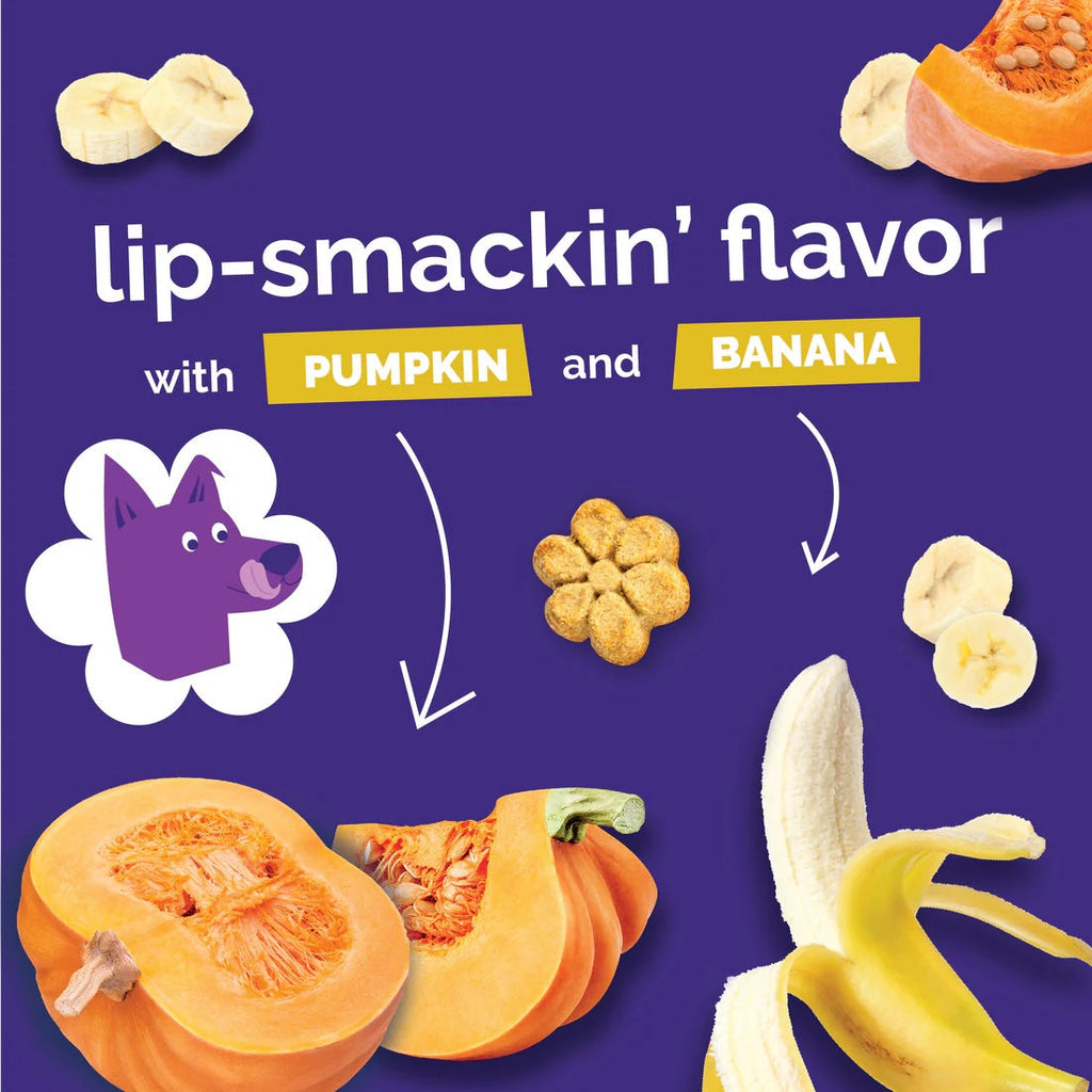 Fruitables Baked Dog Treats Pumpkin & Banana