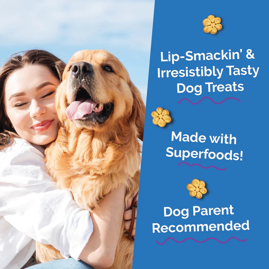 Fruitables Baked Dog Treats Pumpkin & Blueberry
