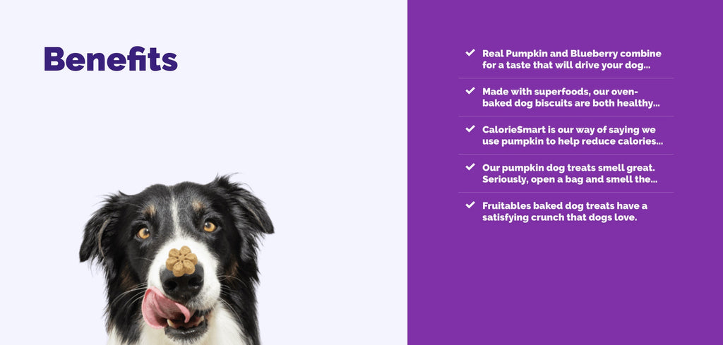 Fruitables Baked Dog Treats Pumpkin & Blueberry