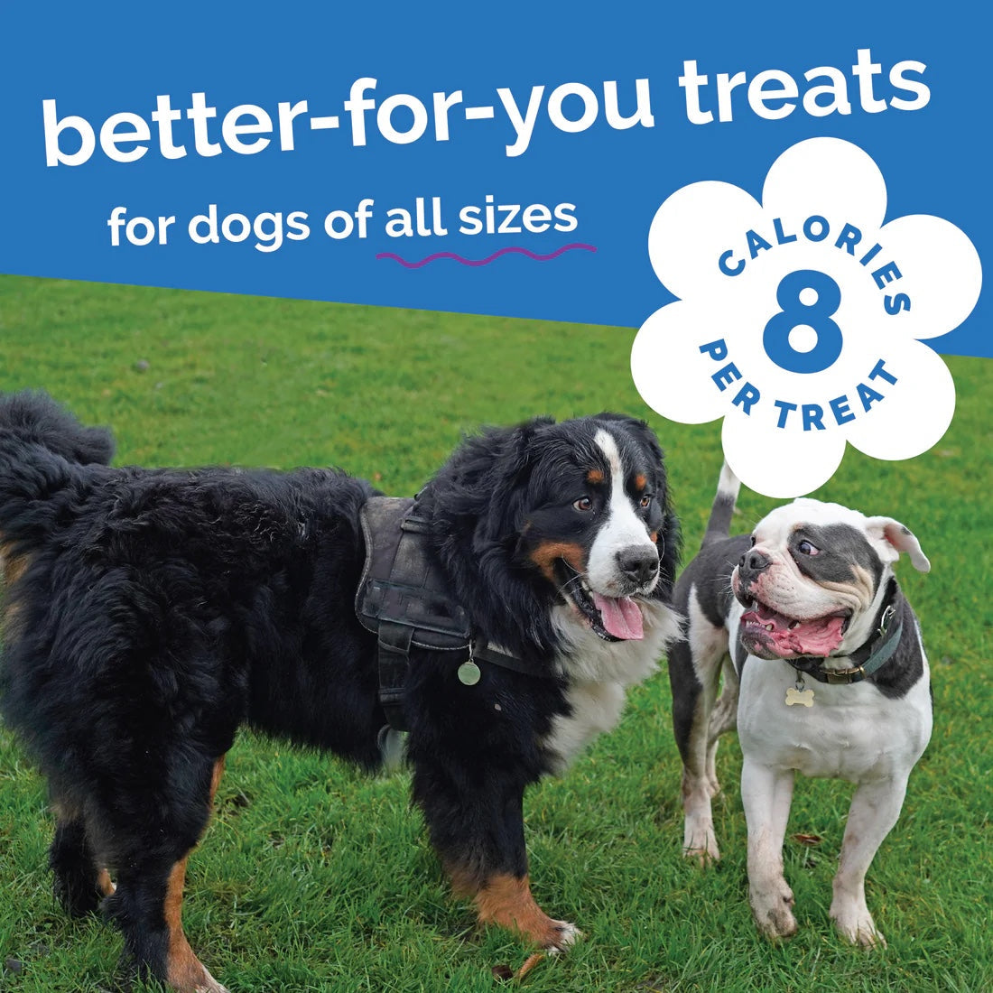 Fruitables Baked Dog Treats Pumpkin & Blueberry