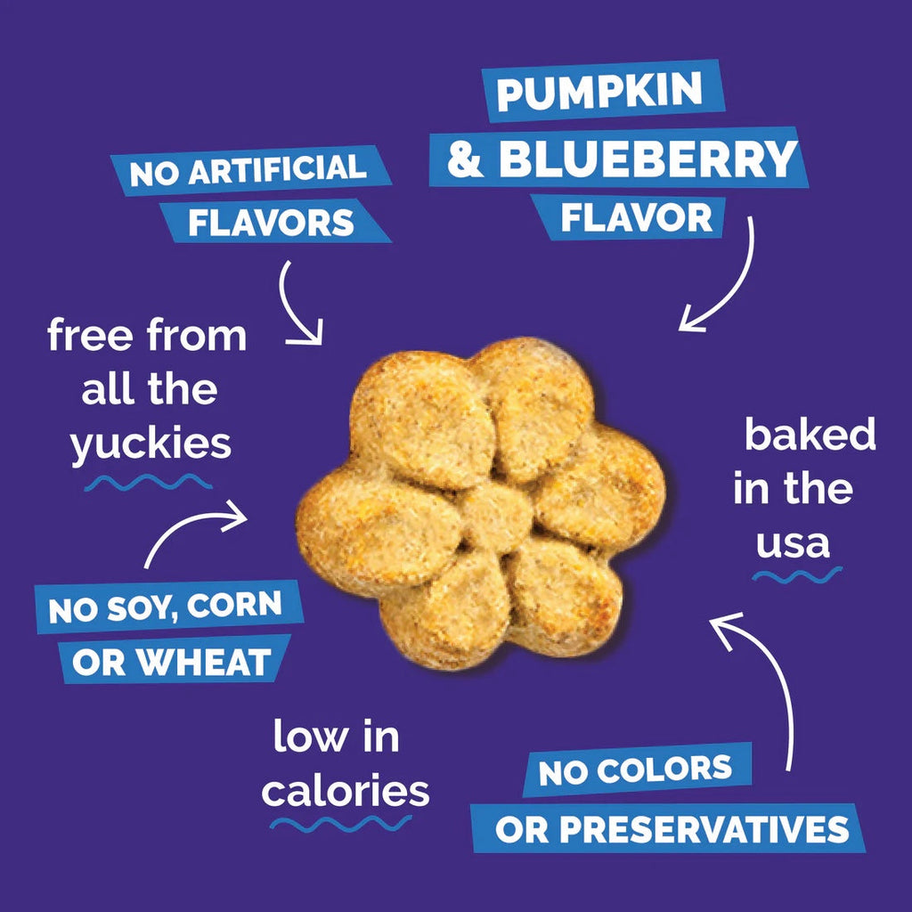Fruitables Baked Dog Treats Pumpkin & Blueberry