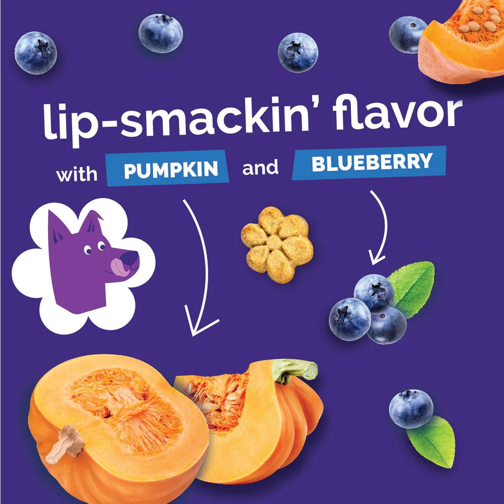 Fruitables Baked Dog Treats Pumpkin & Blueberry