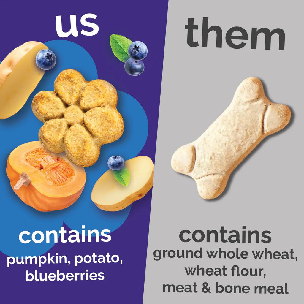 Fruitables Baked Dog Treats Pumpkin & Blueberry