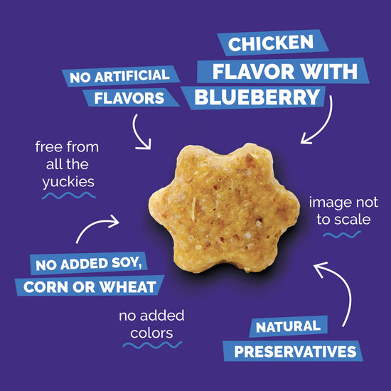 Fruitable Crunchy Chicken & Blueberry Cat Treats