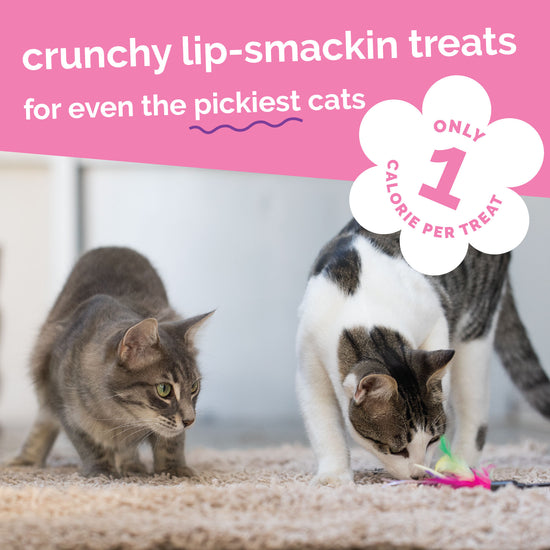Fruitable Crunchy Tuna & Pumpkin Cat Treats