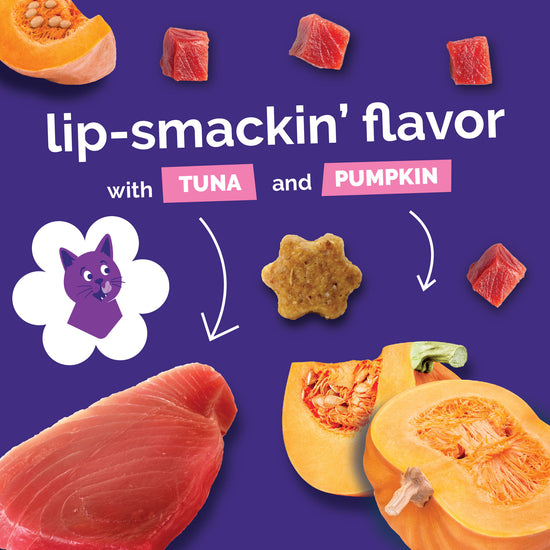 Fruitable Crunchy Tuna & Pumpkin Cat Treats
