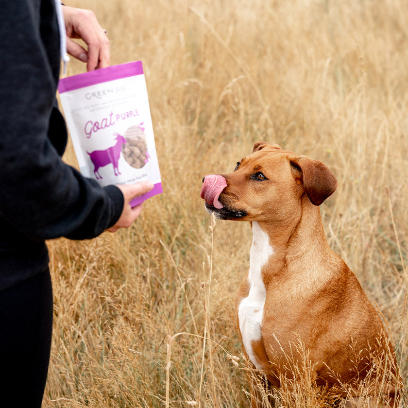 Green Juju Freeze Dried Raw Whole Food Bites Goat Purple Dog and Cat Topper or Treat