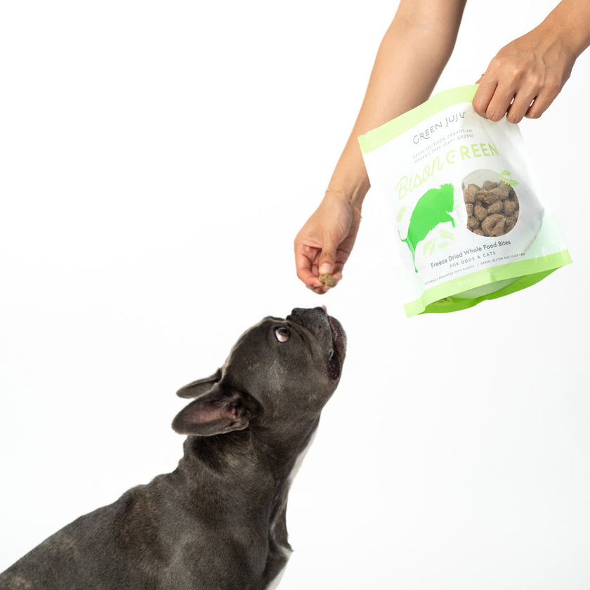 Green Juju LID Freeze-Dried Raw Whole Food Bites Bison Green Dog and Cat Topper or Treat