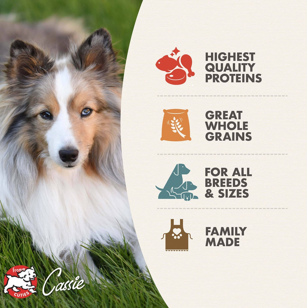 Fromm Ancient Gold Adult Dry Dog Food