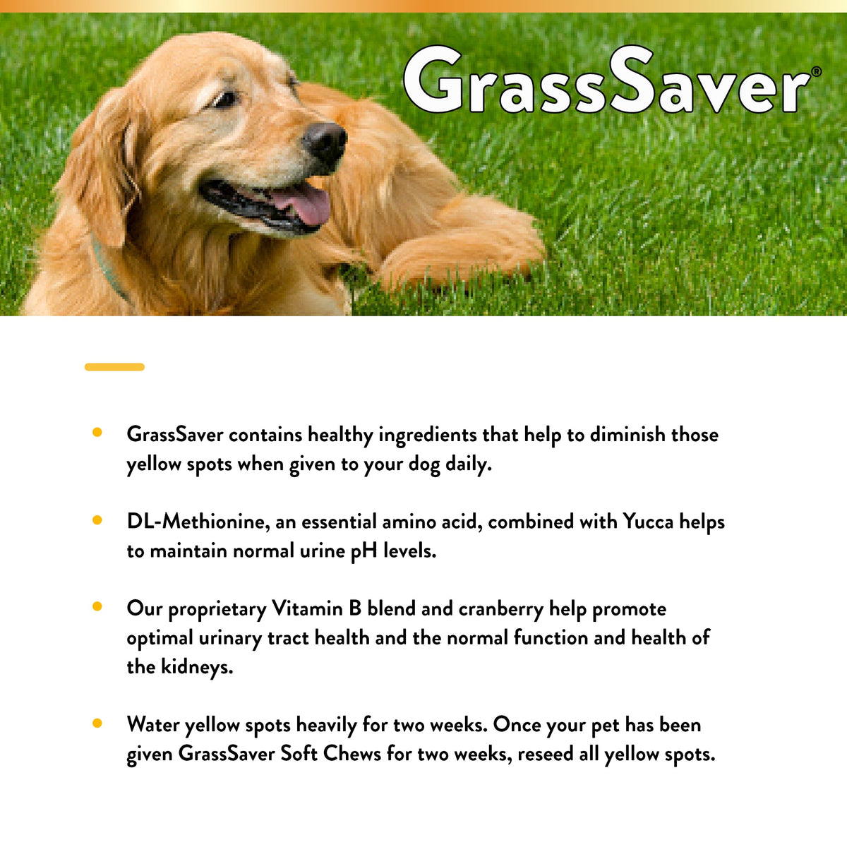 NaturVet GrassSaver Plus Enzymes Soft Chews for Dogs