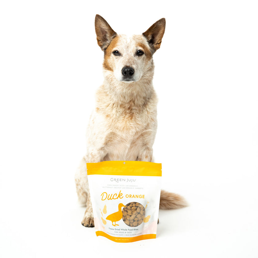Green Juju LID Freeze-Dried Raw Whole Food Bites Duck Orange Dog and Cat Topper or Treat