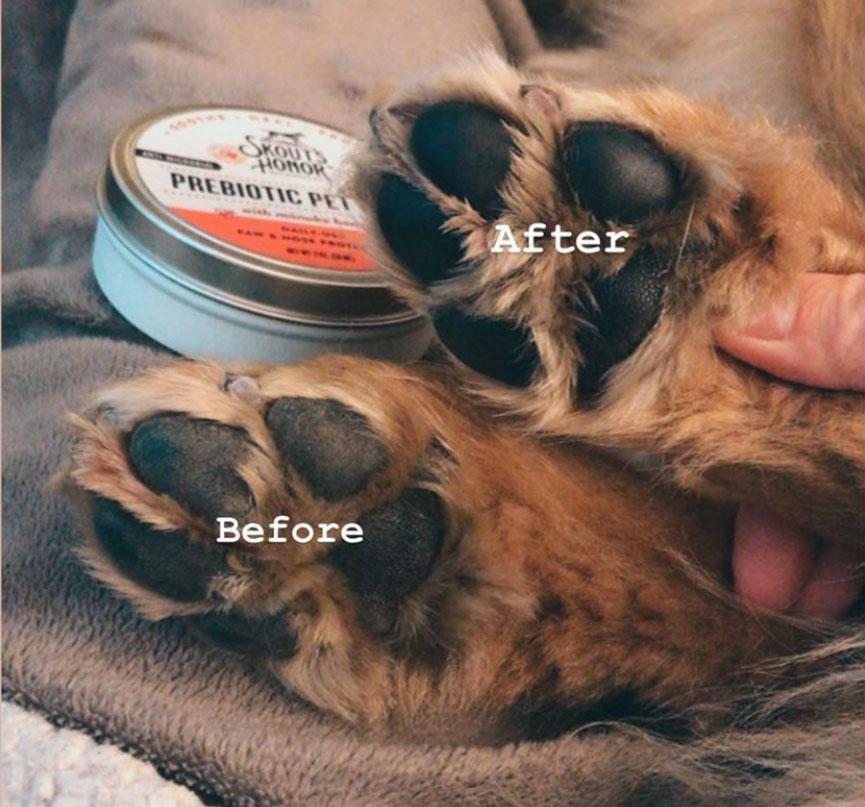 Skout's Honor Prebiotic Pet Balm for Dogs & Cats