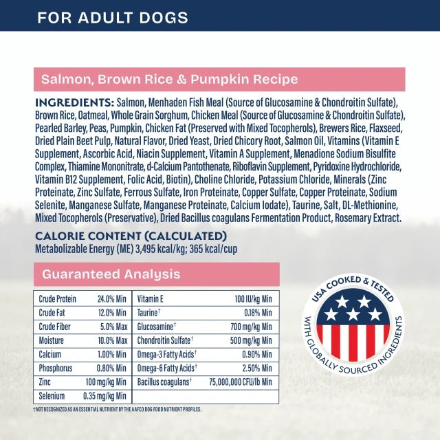 Natural Balance Health Protection Salmon, Brown Rice & Pumpkin Dry Dog Food