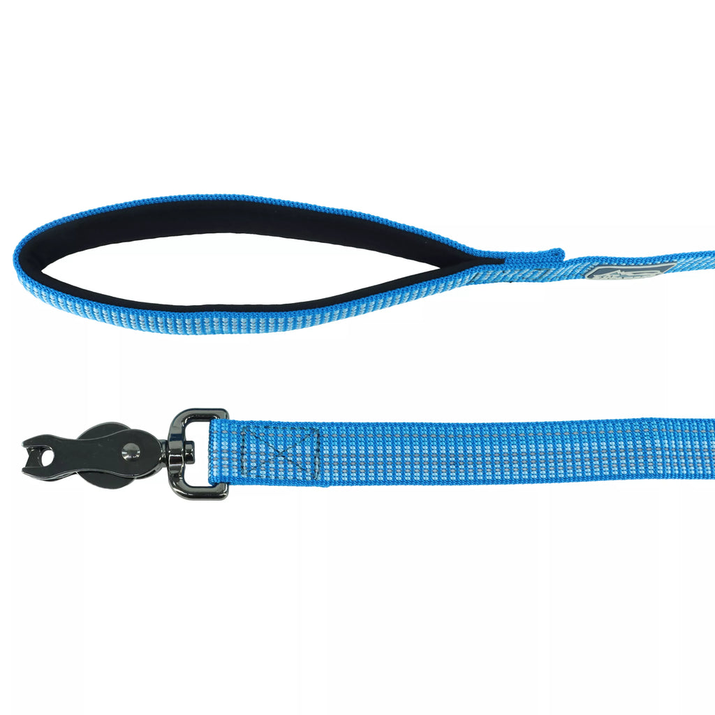 K9 Explorer Brights Reflective Dog Leash, Blue