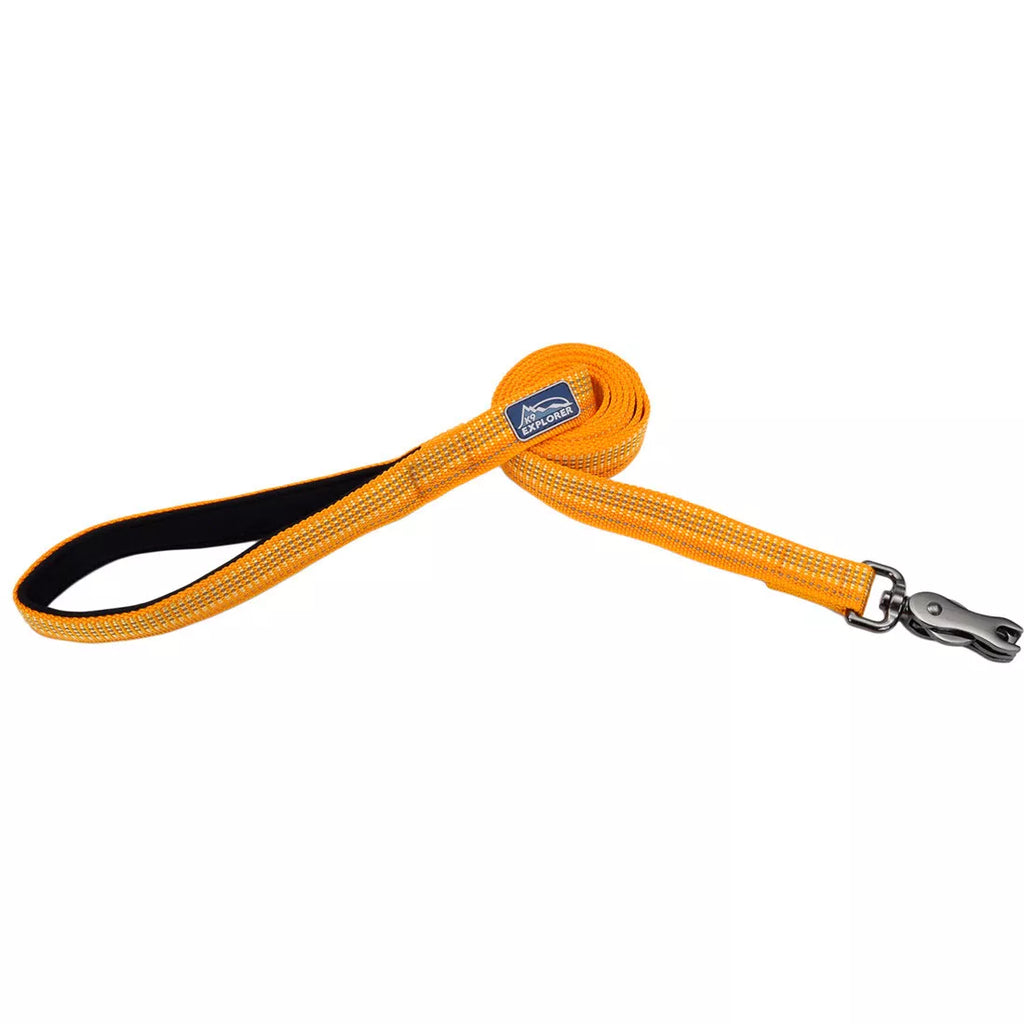 K9 Explorer Brights Reflective Dog Leash, Orange