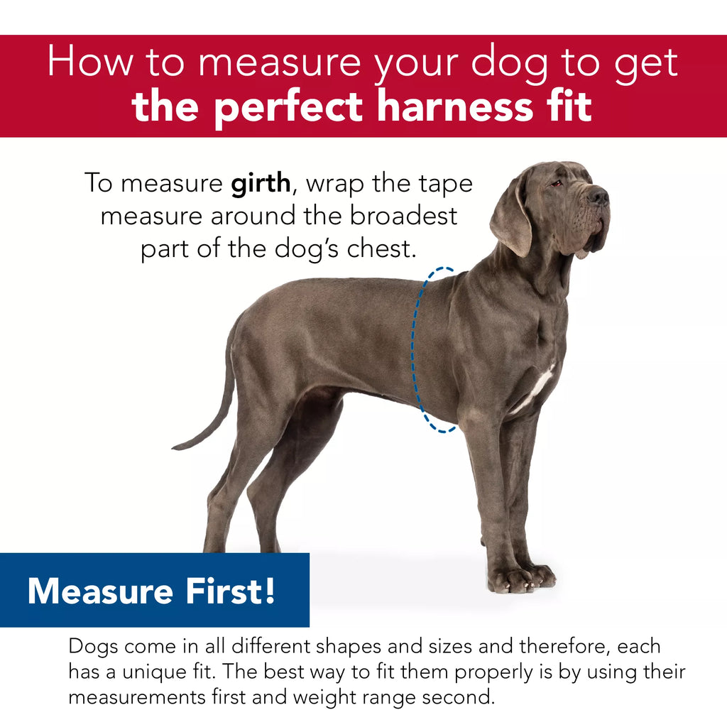 K9 Explorer Brights Reflective Front-Connect Harness, Grey