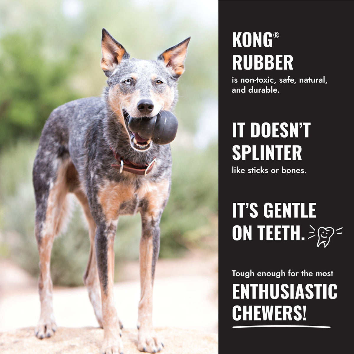 KONG Extreme Flyer Dog Toy