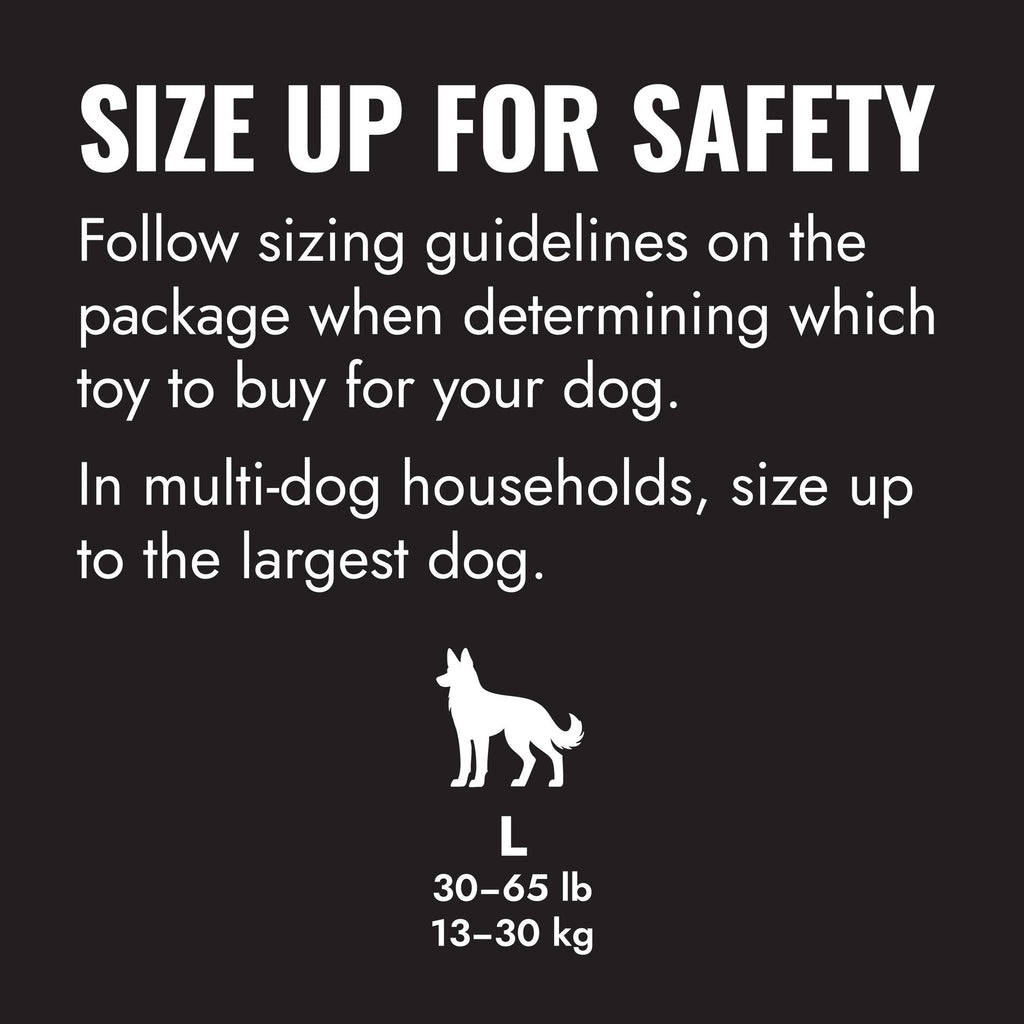 KONG Extreme Flyer Dog Toy