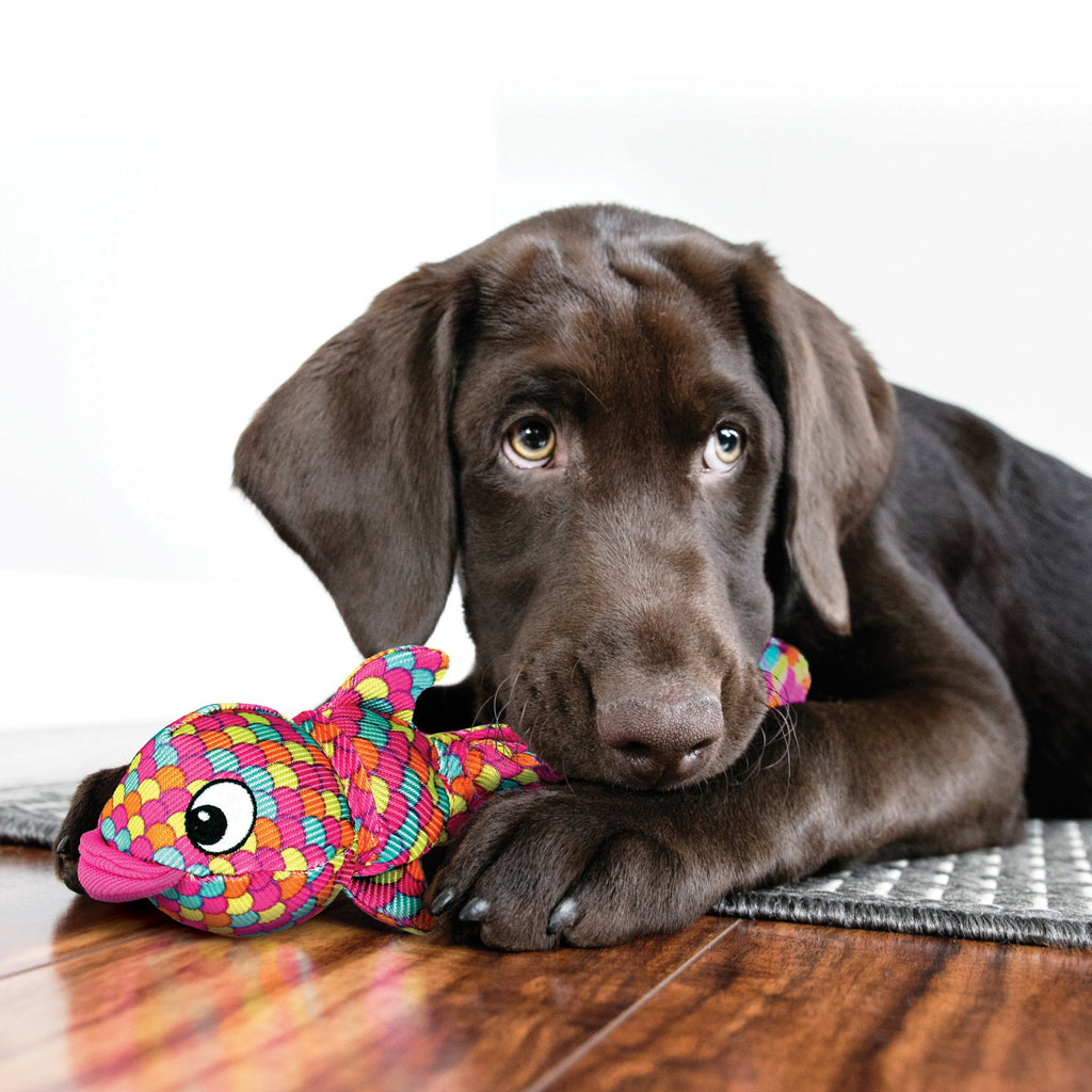 KONG Wubba Finz Pink Dog Toy