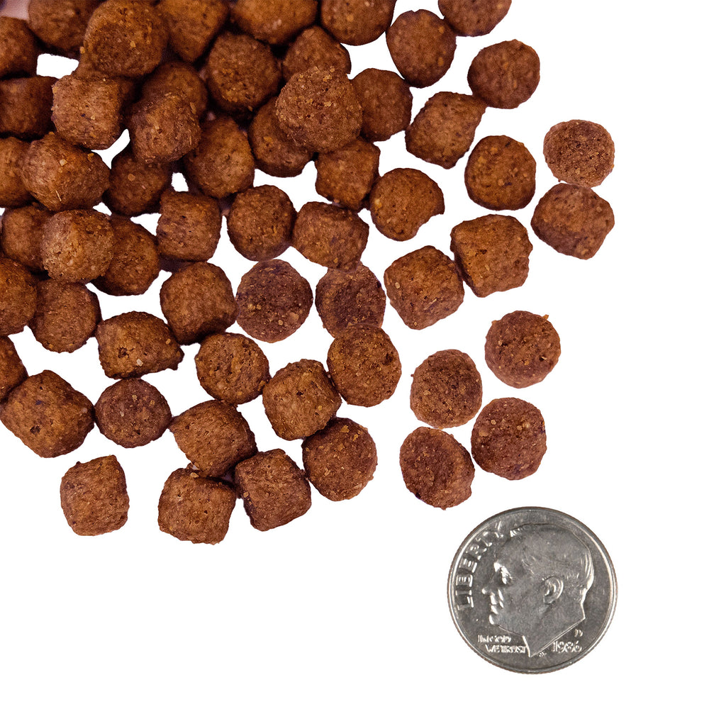 Fromm Nutritionals Sensitive Skin & Stomach Salmon & Whole Oats Recipe Dry Dog Food