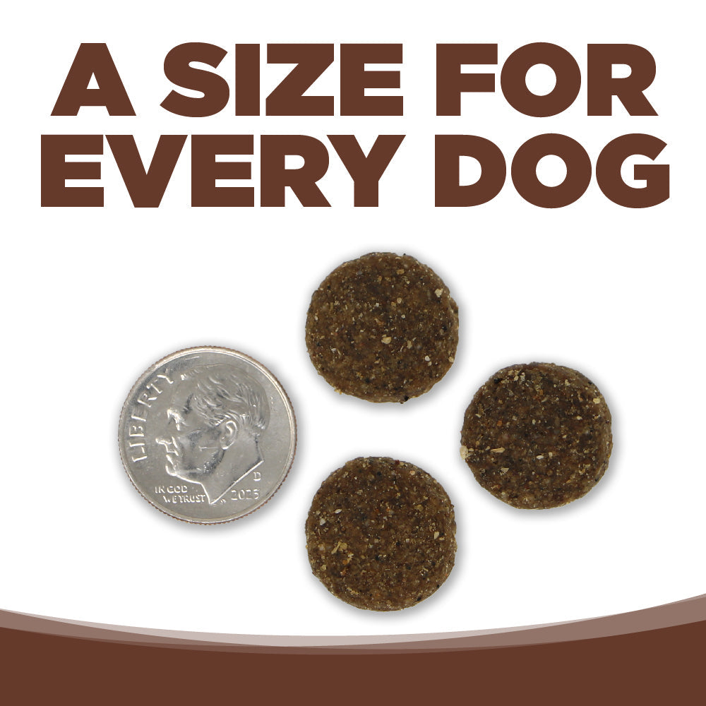 NutriSource Choice Large Breed Beef Meal & Barley Recipe