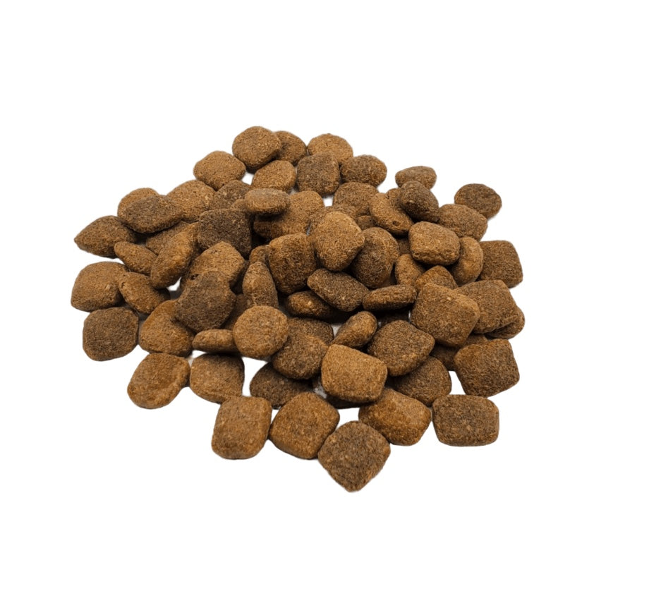 RAWZ Meal Free Fish Recipe Dry Dog Food