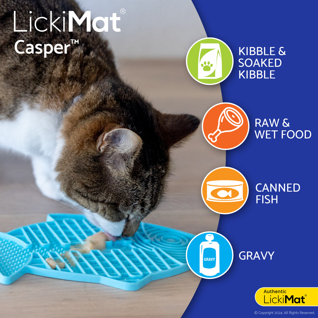 LickiMat Casper Slow Feeder Pet Bowl
