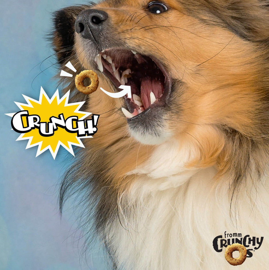Fromm Crunchy O's Grain Free Blueberry Blasts Dog Treats