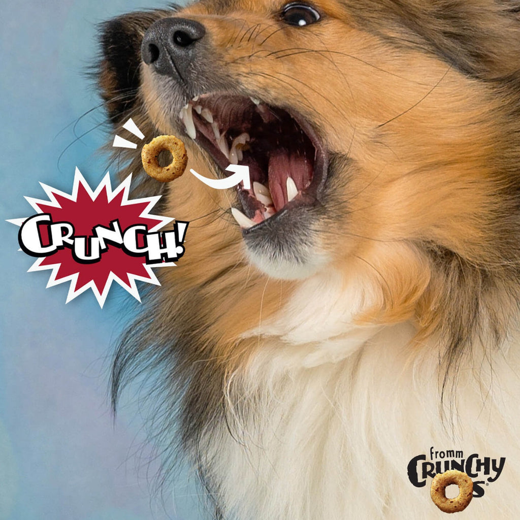 Fromm Crunchy O's Pot Roast Punchers