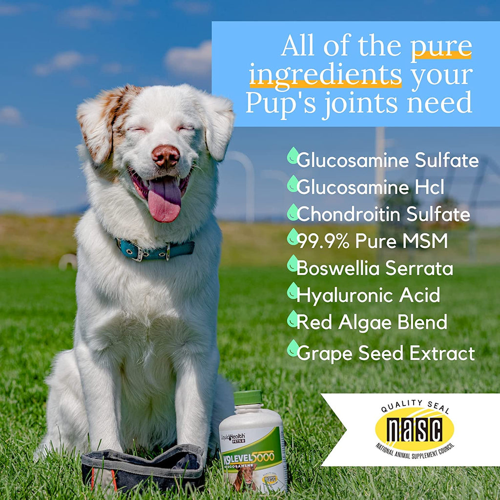 Liquid Health K9 Level 5000 Glucosamine Chondroitin Opti MSM