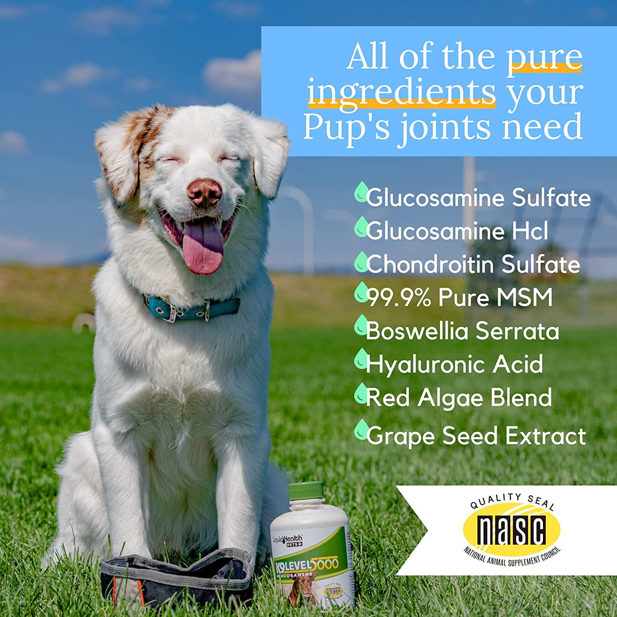 Liquid Health K9 Level 5000 Glucosamine Chondroitin Opti MSM