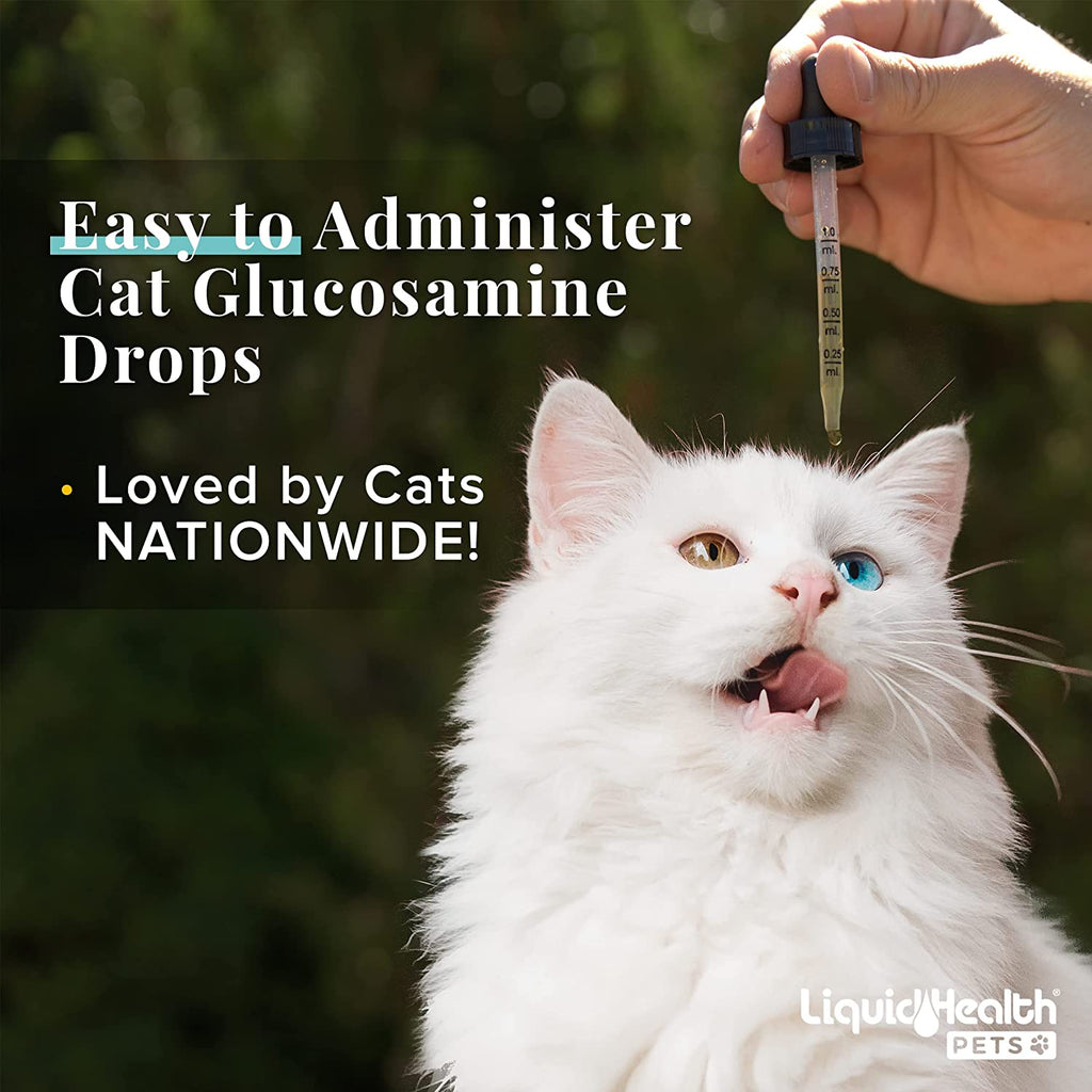 Liquid Health Joint Purr-fect Cat Drops