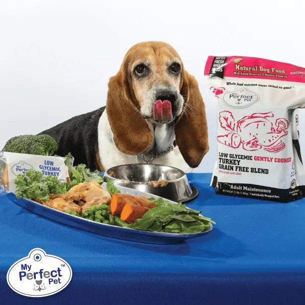 My Perfect Pet Tino's Glycemic Friendly Turkey Blend Frozen Dog Food Bars