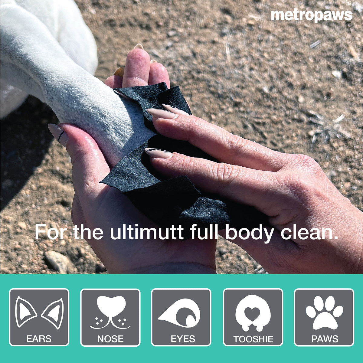 Metro Paws Metro Wipes Charcoal Peppermint Pet Wipes