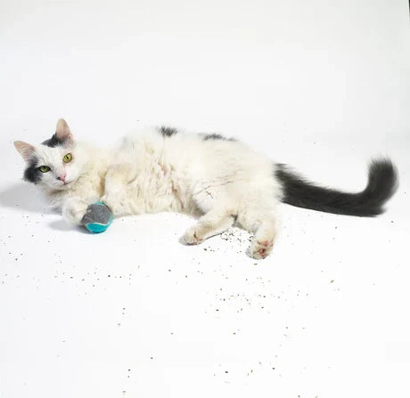 Metro Paws Bliss Nip Organic Silvervine Cat Toy