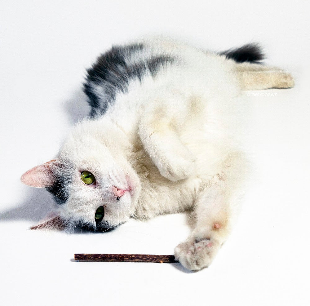 Metro Paws Bliss Stix Organic Silvervine Cat Toy