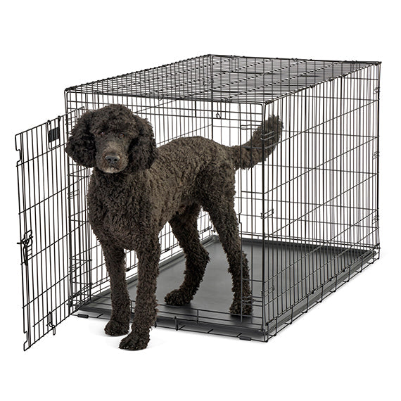 Bradshaw Animal Shelter Pet Crate