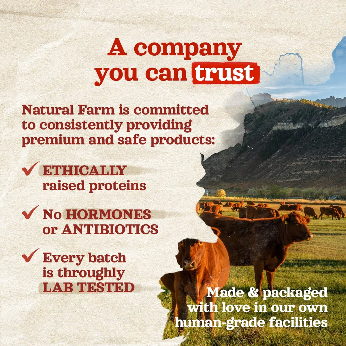 Natural Farm Power Bully Stick Dog Chew