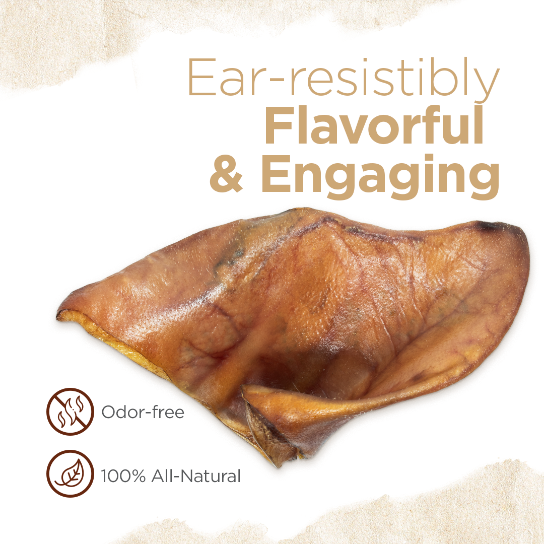 Natural Farm Pig Ear Dog Treat