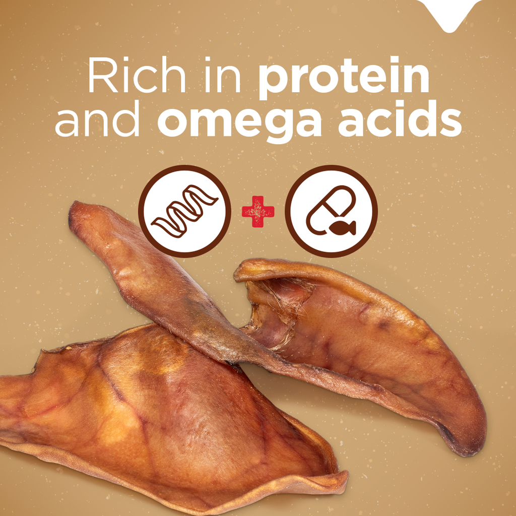 Natural Farm Pig Ear Dog Treat