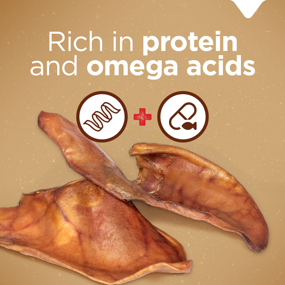 Natural Farm Pig Ear Dog Treat