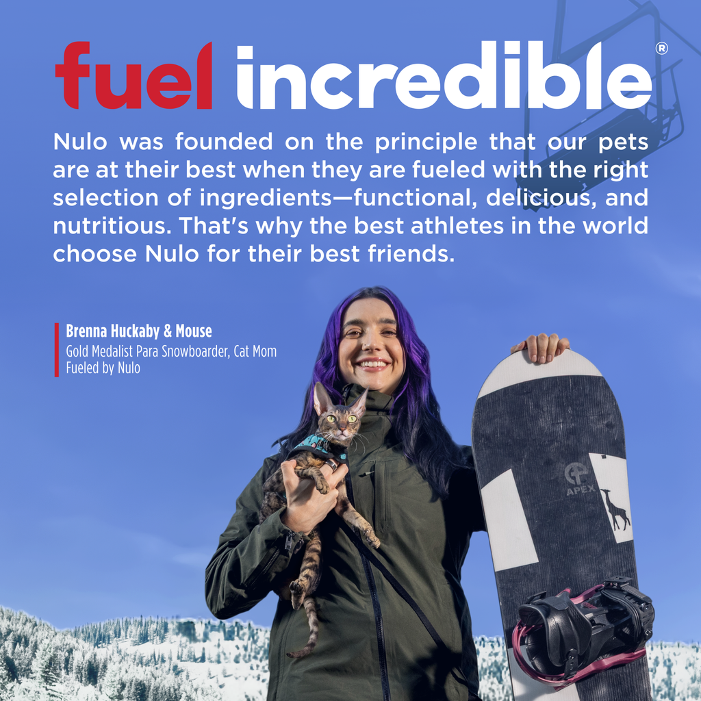 Nulo FreeStyle Perfect Purees Variety Pack