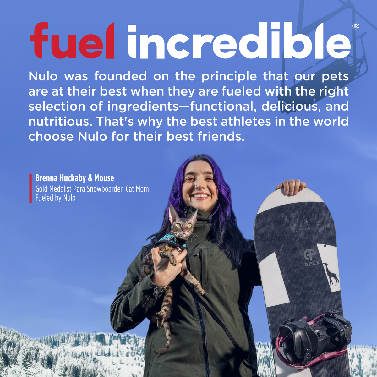 Nulo FreeStyle Perfect Purees Variety Pack