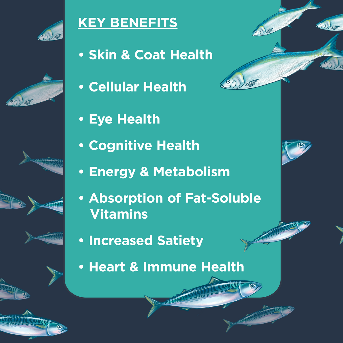 Nulo Omega 3-6-9 Oil Blend Supplement For Dogs